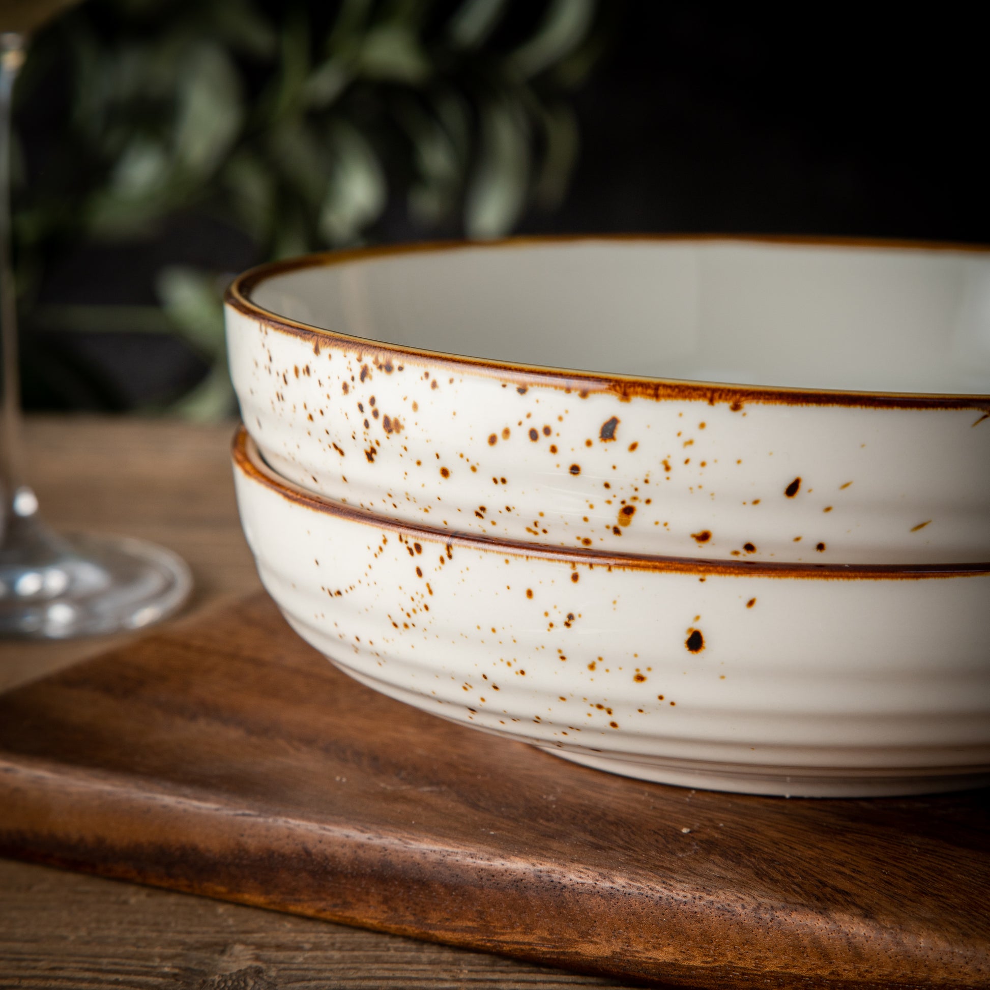 Multipurpose Porcelain Bowls - Set of 2 White Rustic Speckled Design